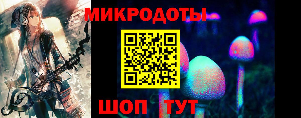 Псилоцибиновые грибы GOLDEN TEACHER  Галлюциногенные грибы Psilocybine cubensis  Вход с VPN  Асбест 